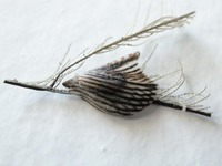 N1280.jpg